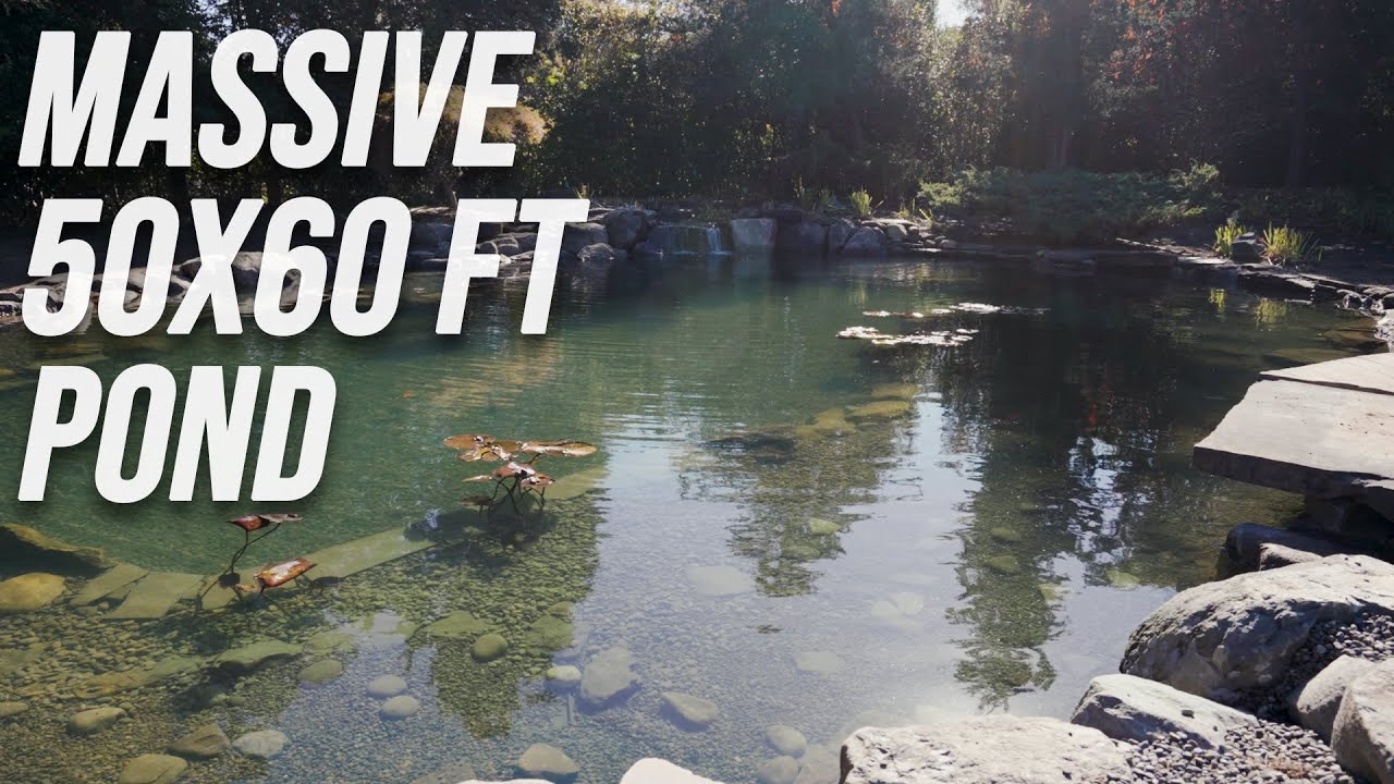 Building a Massive 50'x60' Pond in the Hamptons