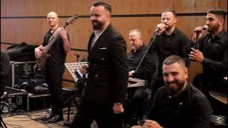 شادي تلحمي استقبال عروس 2025