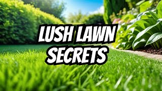 The Ultimate Guide to Creating the Perfect Lawn! StepbyStep