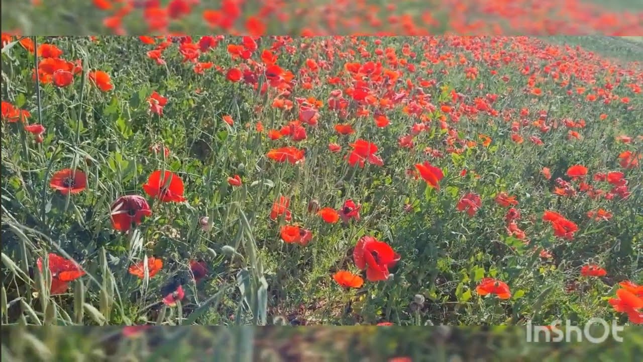 طبيعة بوماسعود الجميلة