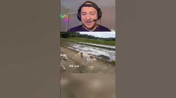 WHEN YOU SEE A K9 UNIT IN CODM #codm #callofdutymobile #codmobile