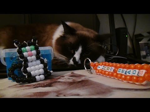 Video: How To Make A Cat Out Of Beads