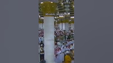 تلاوة خاشعة تريح القلوب | الشيخ : صلاح البدير
