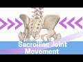 Sacroiliac Joint Movement: Nutation II Counternutation II Sacral Torsion II Iliac Torsion