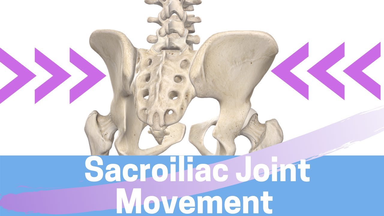 lejer spild væk tirsdag Sacroiliac Joint - Physiopedia