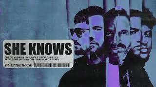 She Knows [with Akon] [Jaxx & Vega Remix] (Visualizer) Resimi