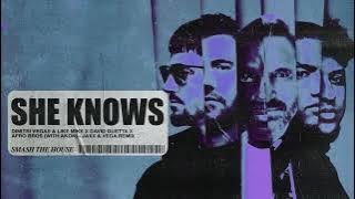 She Knows [with Akon] [Jaxx & Vega Remix] (Visualizer)