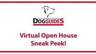 Virtual Open House Sneak Peek!