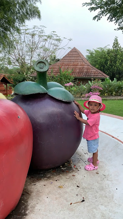 That's a mangosteen, not an apple.