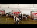 Dairy Automation Journey: The Lely Brand