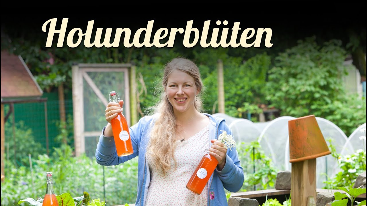 Holunderblütensirup herstellen | ernten | mal anders | Hollerblüten mit Erdbeeren Limonade