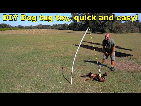 वीडियो: अपने कुत्ते के साथ रस्साकशी के लिए एक घर का बना खिलौना