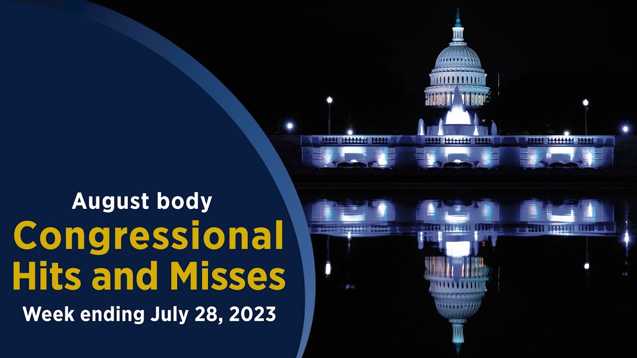 Августовский корпус — успехи и промахи Конгресса