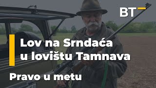 Lov na Srndaća u lovištu Tamnava PRAVO U METU Balkan Trip TV