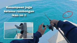 Finding this fish colony is a guaranteed jackpot ‼️ Thousand Islands Fishing Trip