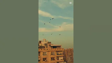 ظبط علاقتك مع ربنا اشتغل علي نفسك ابعد عن المغرايات غيتنا غيه ملوك 