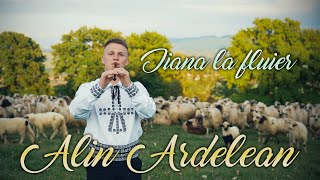 Alin Ardelean - Jiana la fluier