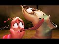 LARVA | Amour dur | Cartoon pour les enfants | WildBrain