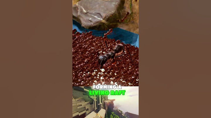 How Ant Colonies Evacuate During Floods😯 #experiment #science #information #scienceexperiment #ants