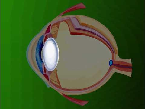 Араб әйелдерімен жыныстық қатынас туралы бейнелерді қараңыз Орыс жасөспірім секс видео