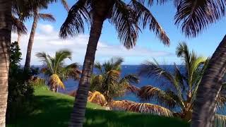 Breezy Shore