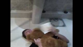 Funny Toilet Roll Ad