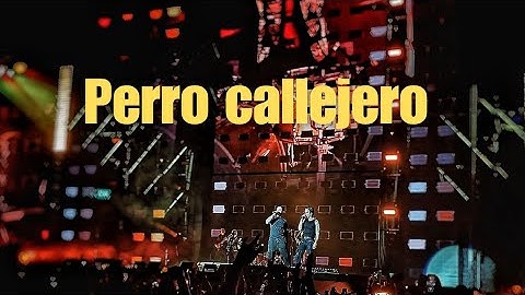 Waor y Walls - Perro callejero en DIRECTO