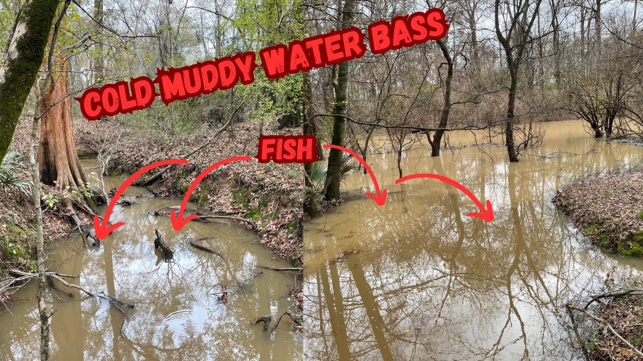 THIS COLD MUDDY DITCH WAS FULL OF BASS!! Catching bass in chocolate milk water!! #fyp #bassfishing