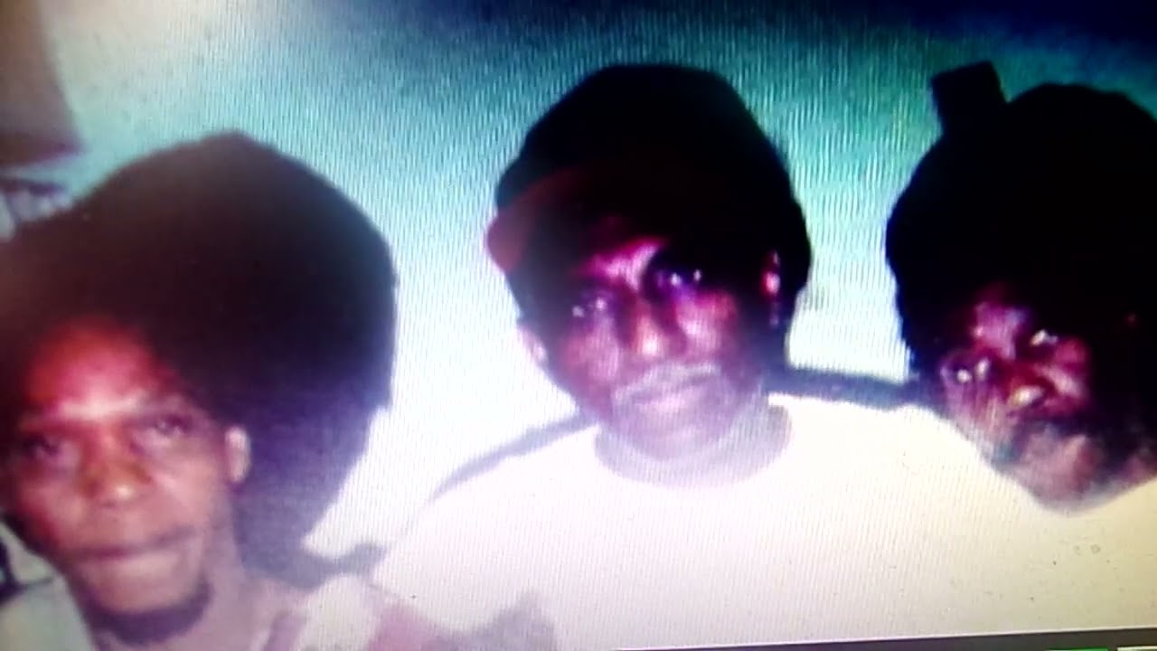 REGGAE PIONEERS-ORIGINAL WAILERS-JUNIOR BRAITHWAITE -RAS CARDO- GARTH DENNIS. THEY MADE IT HAPPEN.