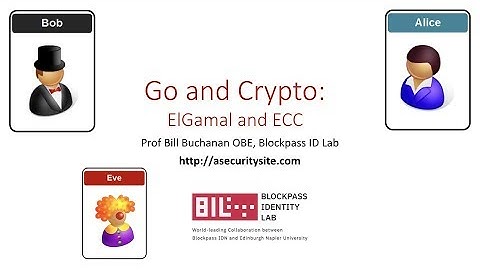 ElGamal and ECC in Go