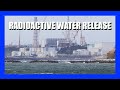 Is Fukushima's radioactive water plan dangerous? | [OFFICE HOURS] Podcast #049