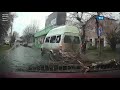 В Новомосковске рухнуло дерево