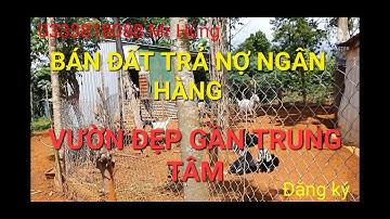 Bán Đất Đăk Nông 169| BÁN ĐẤT TRẢ NỢ NGÂN HÀNG VƯỜN ĐẸP NGAY GẦN TRUNG TÂM CÓ 50M MẶT ĐƯỜNG