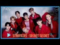 Karaoke Straykids Secret Secret Easy Lyric 