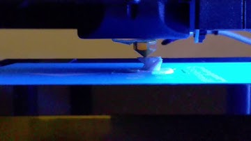 First print with a Flashforge finder