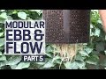 How to set up an Ebb & Flow / Flood & Drain Hydroponics Growing System - Irrigation - PART 5 of 6