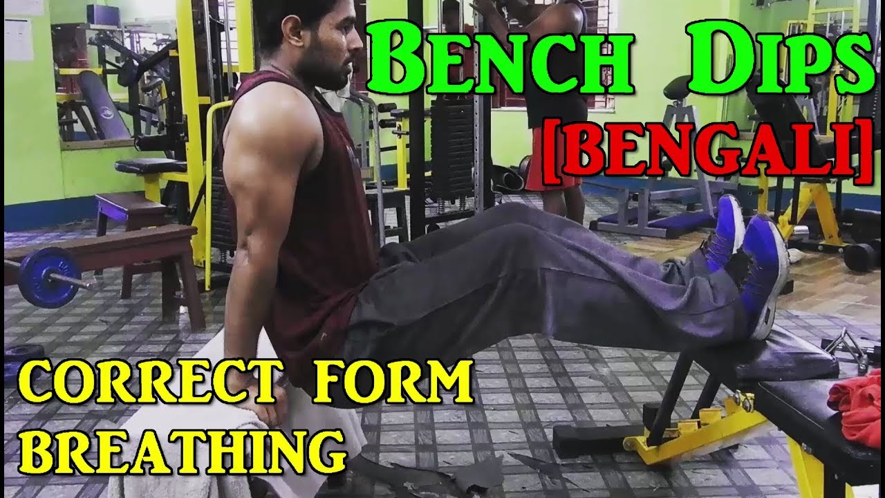 Bench Dips Triceps Correct Form With Breathing ব ল