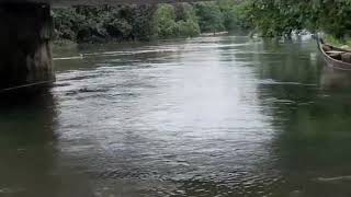 കല്ലറ മുടക്കാലി പാലത്തിൽ വെള്ളക്കെട്ട് രൂക്ഷം Kottayam Flood Updates