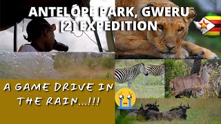 Ep13|S1| A Game drive at Antelope Park, Gweru, Zimbabwe| Zimbabwe Vlog|