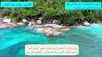 تلاوة ما تيسر من سورة العنكبوت برواية حفص عن عاصم | محمد عبدالقادر | قناة الدين النصيحة |