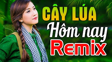 HÁT VỀ CÂY LÚA HÔM NAY REMIX - LK Nhạc Đỏ Cách Mạng Kháng Chiến Remix Bass Căng Bốc Lửa