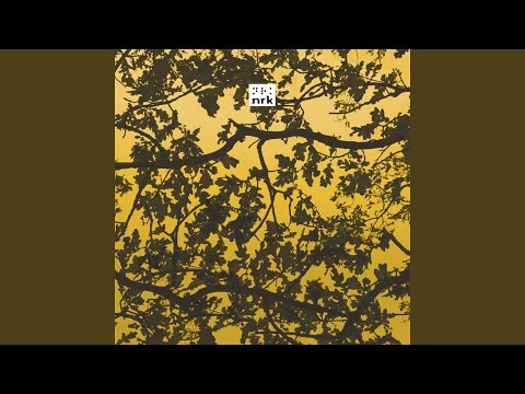 Audio Soul Project — Community (Audio Soul Project Redux)