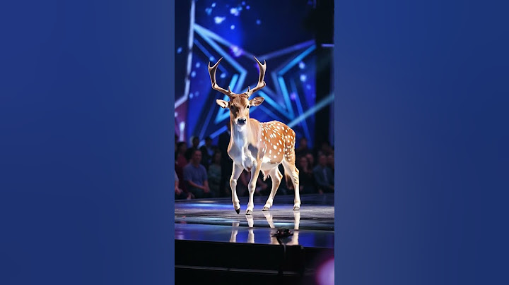 牛头梅花鹿#supertalentshows#AGT #shorts#supertalent #Got Talent #showcase #supershow #short