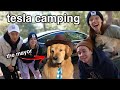 Camping in our Tesla and Meeting The Mayor (He's A Dog)