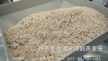 Centrifugal Oat Shelling Machine Oat Sheller Oats Dehuller