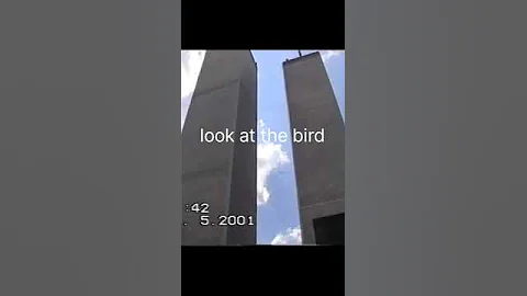 the bird was trying to tell us something ( twin tower falls) #twintowers #twintowerfalls