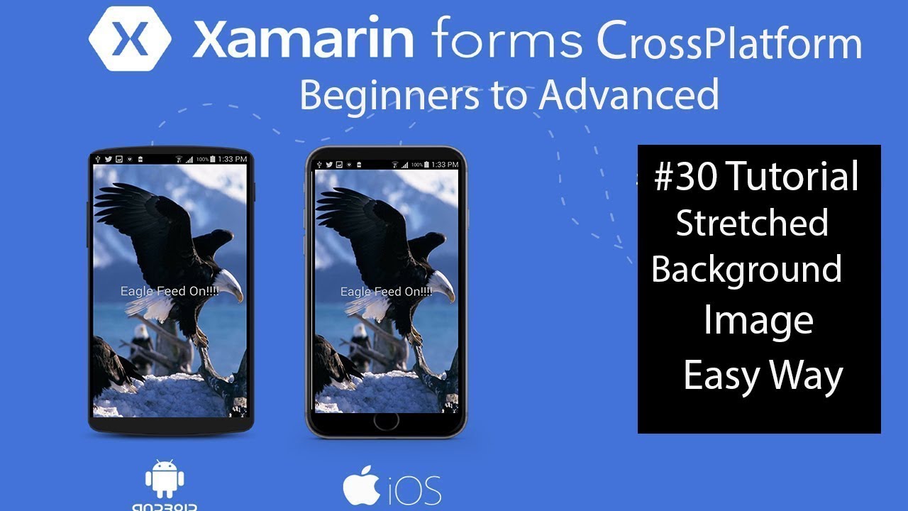 Xamarin tutorial: How to set the background image xamarin for your app