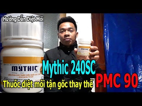 Hướng dẫn TỰ DIỆT MÔI TẬN GỐC TẠI NHÀ VỚI THUỐC DIỆT MỐI MYTHIC 240SC của THỤY SỸ Video 1