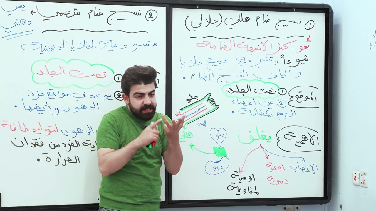 تصوير 2025 يوتيوب | الفصل الثاني | ( المحاضرة التاسعة ) الأنسجة الضامة الرخوة (المفككة) و الكثيفة