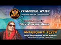 Primordial Water: Cosmic Web of Consciousness ~ Patricia Awyan Lehman